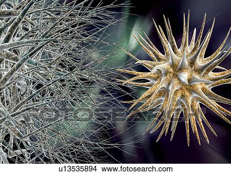 Biology, Computer Graphic, Magnification, Virus, Close-Up, Influenza-Virus View Large Photo Image Picture - Biology, Computer Graphic, Magnification, Virus, Close-Up, Influenza-Virus. Fotosearch