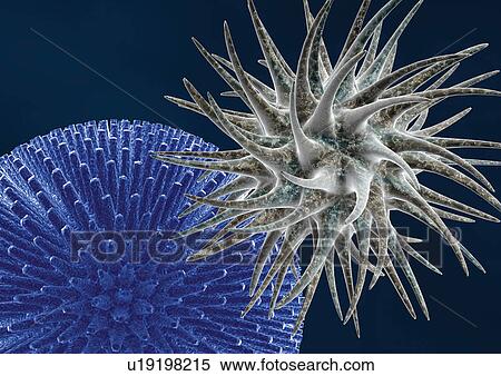 Stock Photography - Biotech, Computer Graphic, Close-Up, Black Background, Atom. Fotosearch