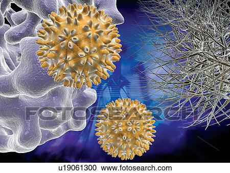 Biotech, Coronavirus, Computer Graphic, Close-Up, Atom View Large Photo Image Stock Image - Biotech, Coronavirus, Computer Graphic, Close-Up, Atom. Fotosearch
