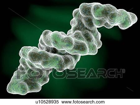 Biotech, Deoxyribonucleic Acid, Computer Graphic, Close-Up, Atom View Large Photo Image Stock Photography - Biotech, Deoxyribonucleic Acid, Computer Graphic, Close-Up, Atom. Fotosearch