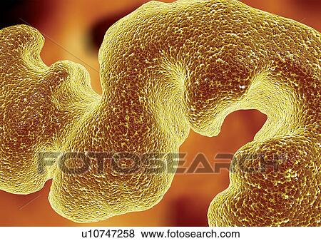 Stock Photo - Biotech, Digitally Generated Image, Computer Graphic, Close-Up, Atom. Fotosearch