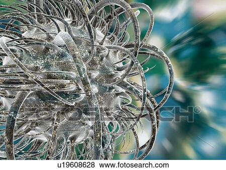 Stock Photo - Biotech, Digitally Generated Image, Computer Graphic, Close-Up, Atom. Fotosearch