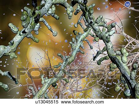 Biotech, Digitally Generated Image, Computer Graphic, Close-Up, Atom View Large Photo Image Stock Photography - Biotech, Digitally Generated Image, Computer Graphic, Close-Up, Atom. Fotosearch