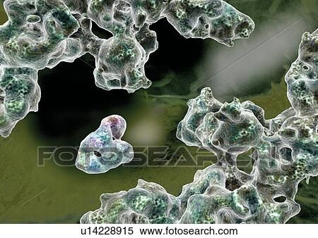 Biotech, Digitally Generated Image, Computer Graphic, Close-Up, Atom View Large Photo Image Stock Photography - Biotech, Digitally Generated Image, Computer Graphic, Close-Up, Atom. Fotosearch
