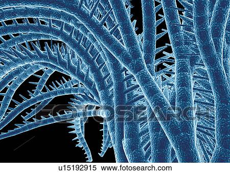 Biotech, Digitally Generated Image, Computer Graphic, Close-Up, Atom View Large Photo Image Stock Photography - Biotech, Digitally Generated Image, Computer Graphic, Close-Up, Atom. Fotosearch