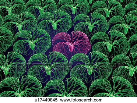 Close-Up, Micro, Biology, Digitally Generated Image, Magnification, Biotech View Large Photo Image Stock Photography - Close-Up, Micro, Biology, Digitally Generated Image, Magnification, Biotech. Fotosearch