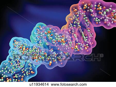 Picture - Close-up of strands of DNA. Fotosearch