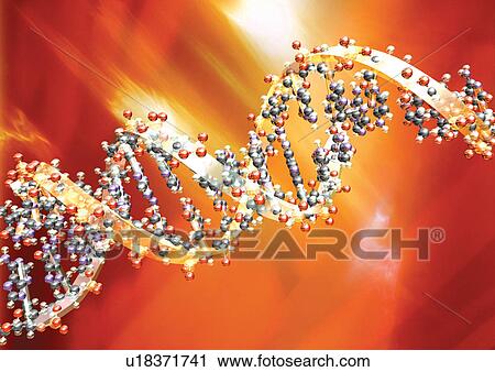 Close-up of strands of DNA View Large Photo Image Stock Image - Close-up of strands of DNA. Fotosearch