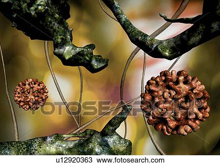 Stock Image - Computer Graphic, Tombusvirus, Organisms, Micro, Research, Virus, Atom. Fotosearch
