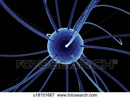 Stock Photo - One Object, Human Cell, Synapse, Neuron, Micro-Biotech. Fotosearch