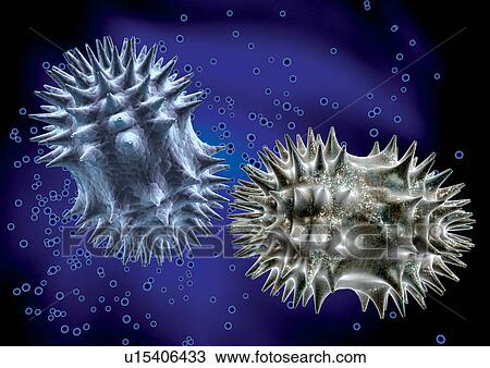 Stock Image - Representation of cell structures. Fotosearch