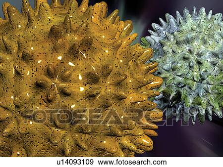 Stock Photo - Representation of cell structures. Fotosearch