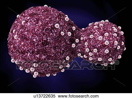 Stock Photography - Representation of cell structures. Fotosearch