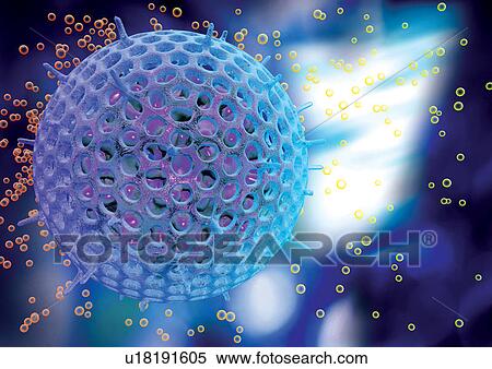 Representation of cell structures View Large Photo Image Stock Photography - Representation of cell structures. Fotosearch