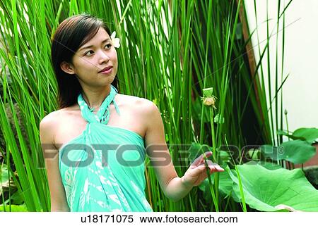 Brown Hair, Day, Close-Up, Asian Ethnicity View Large Photo Image Stock Photography - Brown Hair, Day, Close-Up, Asian Ethnicity. Fotosearch