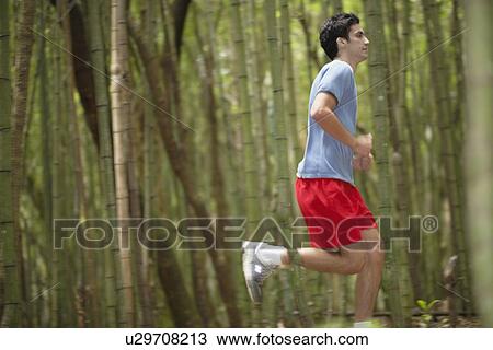 Young man jogging in forest View Large Photo Image Stock Image - Young man jogging in forest. Fotosearch