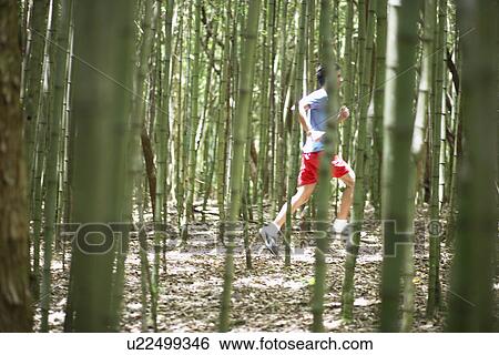 Young man jogging in forest View Large Photo Image Stock Photograph - Young man jogging in forest. Fotosearch