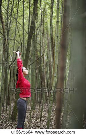Young woman stretching in forest View Large Photo Image Picture - Young woman stretching in forest. Fotosearch