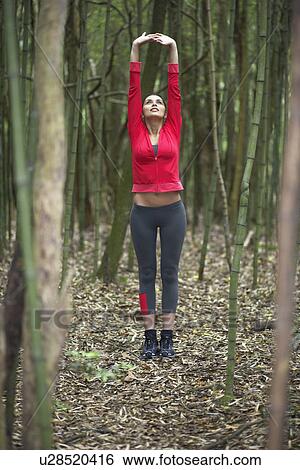 Young woman stretching in forest View Large Photo Image Stock Photograph - Young woman stretching in forest. Fotosearch