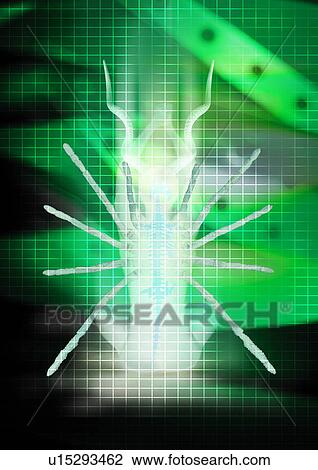 Close-up of an insect superimposed on a grid pattern View Large Photo Image Stock Image - Close-up of an insect superimposed on a grid pattern. Fotosearch