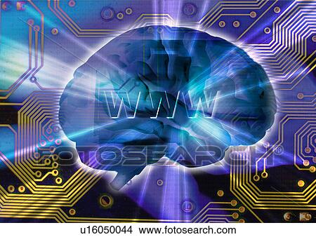 Picture - Outline of a human brain superimposed on a circuit board. Fotosearch
