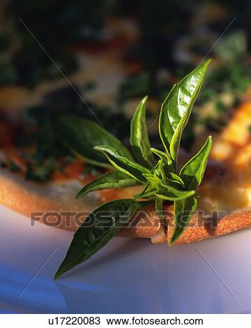 a Pizza, With Some Basil on the Side, High Angle View, Differential Focus View Large Photo Image Stock Image - a Pizza, With Some Basil on the Side, High Angle View, Differential Focus. Fotosearch