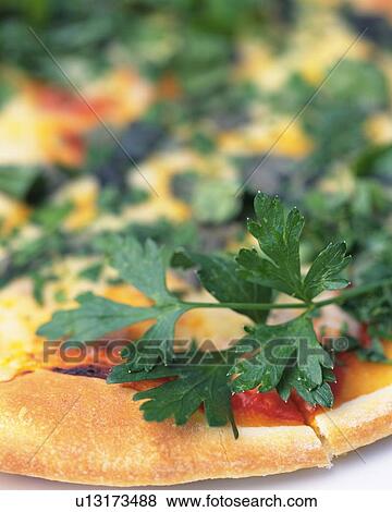 a Pizza With Some Parsley on the Side, High Angle View, Differential Focus View Large Photo Image Stock Photo - a Pizza With Some Parsley on the Side, High Angle View, Differential Focus. Fotosearch