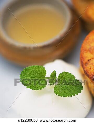 Apple Mint onWhipped Cream, Next toTarts, High Angle View, Differential Focus View Large Photo Image Stock Photograph - Apple Mint onWhipped Cream, Next toTarts, High Angle View, Differential Focus. Fotosearch