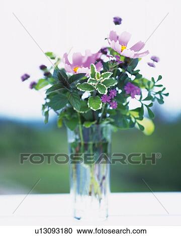 Stock Image -  Cosmos and Other Herbs and Flowers in a Vase, Front View, Differential Focus. Fotosearch