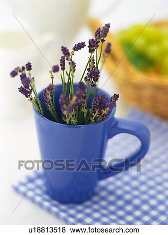 Stock Photo - Lavender in a Blue Cup, High Angle View, Differential Focus. Fotosearch