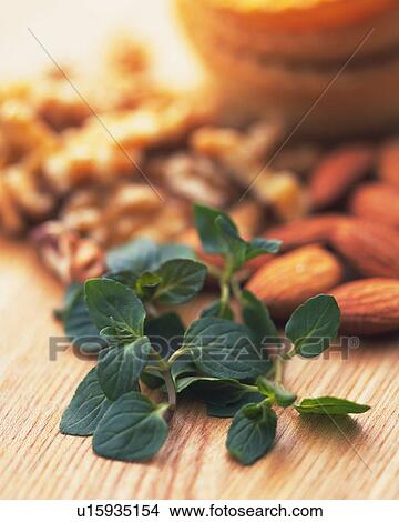 Oregano and Nuts in the Background, High Angle View, Differential Focus View Large Photo Image Picture - Oregano and Nuts in the Background, High Angle View, Differential Focus. Fotosearch