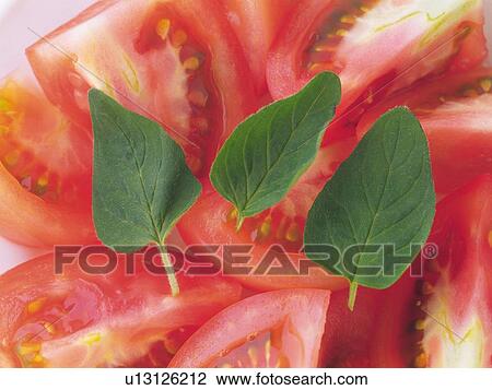 Oregano Leaves onTomato Pieces, High Angle View View Large Photo Image Stock Image - Oregano Leaves onTomato Pieces, High Angle View. Fotosearch