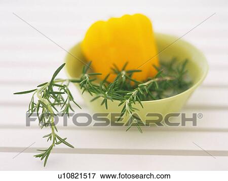 Rosemary and a Yellow Bell pepper in a Little Bowl, High Angle View, Differential Focus View Large Photo Image Stock Photo - Rosemary and a Yellow Bell pepper in a Little Bowl, High Angle View, Differential Focus. Fotosearch