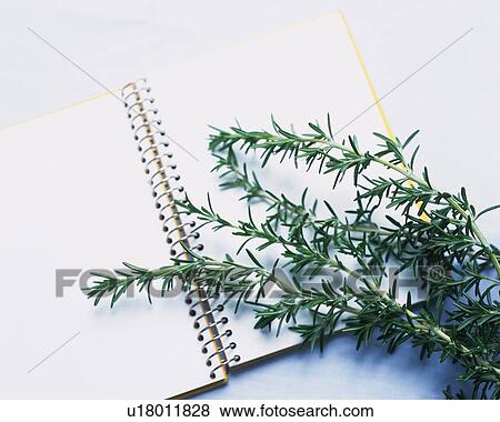 Rosemary on a Notebook, High Angle View View Large Photo Image Stock Photo - Rosemary on a Notebook, High Angle View. Fotosearch