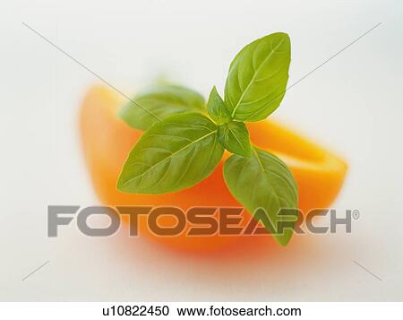 Stock Image -  Several Basil Leaves On an Orange, Front View, Differential Focus. Fotosearch