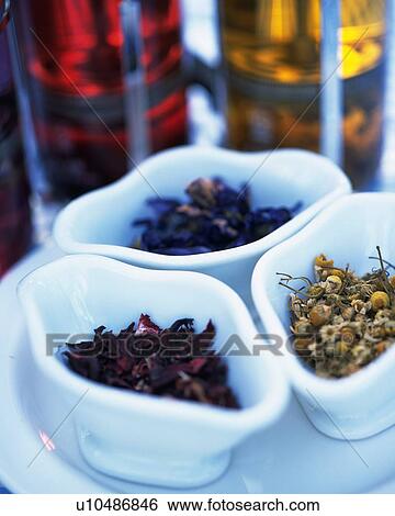 Three Different Herbs in White Porcelain Cases, High Angle View, Differential Focus View Large Photo Image Stock Photograph - Three Different Herbs in White Porcelain Cases, High Angle View, Differential Focus. Fotosearch