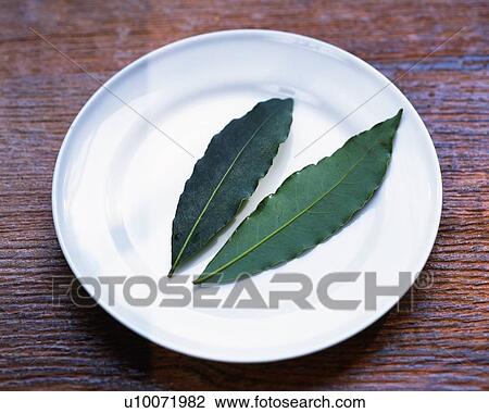 Stock Image -  Two Laurel Leaves Lying on a White Porcelain Plate, High Angle View. Fotosearch