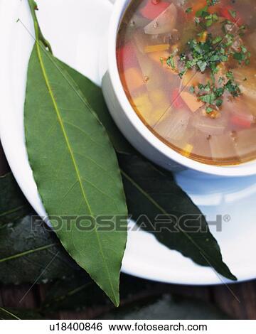 Two Laurel Leaves, Next to a Vegetable Soup, High Angle View View Large Photo Image Stock Photograph - Two Laurel Leaves, Next to a Vegetable Soup, High Angle View. Fotosearch