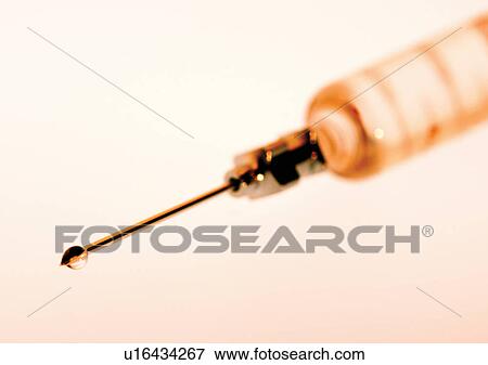 Stock Photo - care, close-up, concept, development. Fotosearch