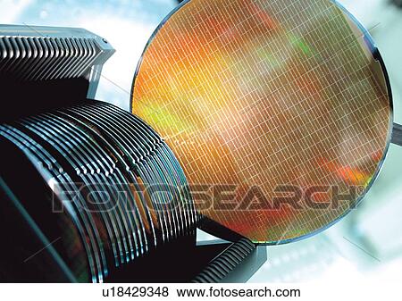 Stock Photo - Close-Up, Day, Outdoor, Part Of. Fotosearch