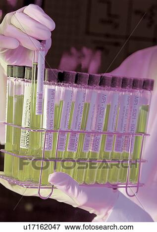 Close-Up, Group Of Objects, Field, Development, Advancement View Large Photo Image Stock Photo - Close-Up, Group Of Objects, Field, Development, Advancement. Fotosearch