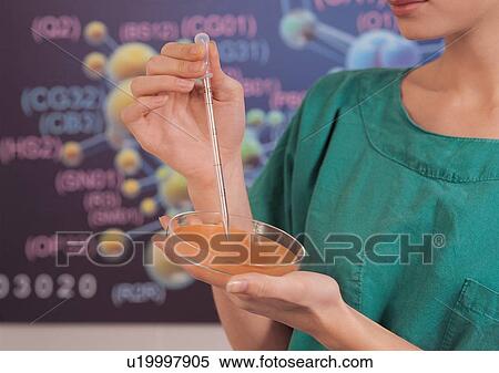 Stock Photography - Development, Indoor, Field, Advancement. Fotosearch