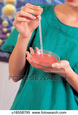Stock Photography - Development, One Person, Indoor, Field, Advancement. Fotosearch