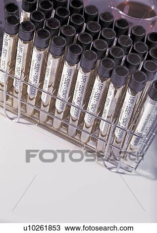 Group Of Objects, Indoor, Part Of View Large Photo Image Stock Image - Group Of Objects, Indoor, Part Of. Fotosearch