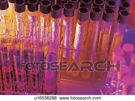 Stock Photo - Group Of Objects, Indoor. Fotosearch