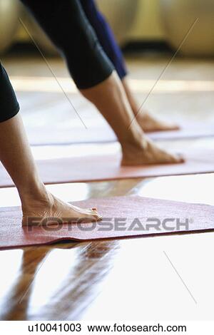 Caucasian prime adult females in yoga class. View Large Photo Image Stock Image - Caucasian prime adult females in yoga class.. Fotosearch