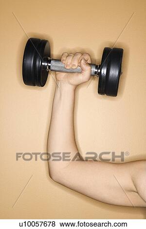 Stock Photo - Prime adult Caucasian female arm holding up weight.. Fotosearch