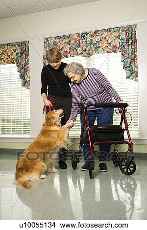 Elderly Caucasian woman using walker and middle-aged daugher petting dog in hallway of retirement community center. View Large Photo Image Picture - Elderly Caucasian woman using walker and middle-aged daugher petting dog in hallway of retirement community center.. Fotosearch