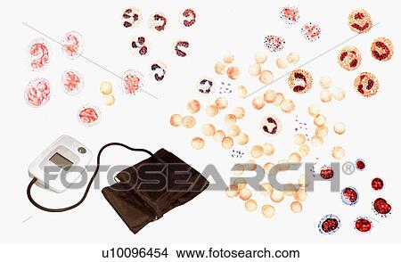 Close-up of a blood pressure gauge View Large Illustration Stock Illustration - Close-up of a blood pressure gauge. Fotosearch