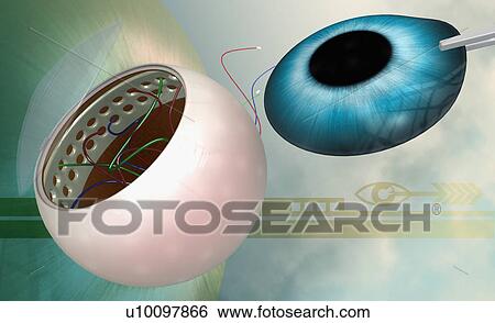 Close-up of a human eye lens View Large Illustration Stock Illustration - Close-up of a human eye lens. Fotosearch